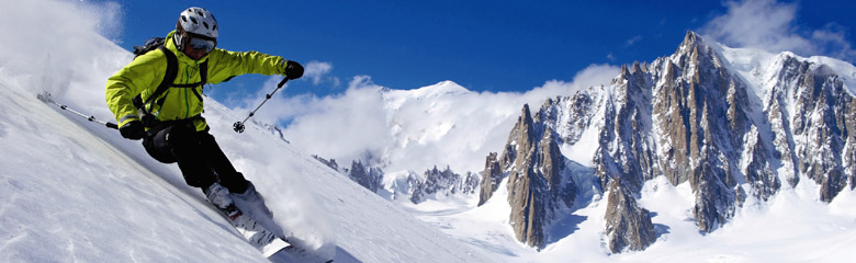 alpina_Skibrillen