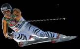 uvex_ski_neureuther
